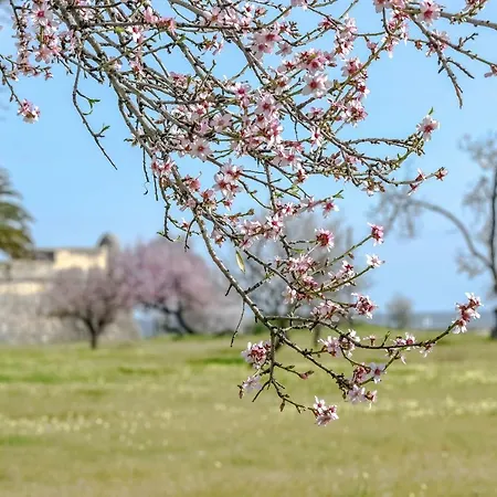 Penthouse Dali - Club Apartment *