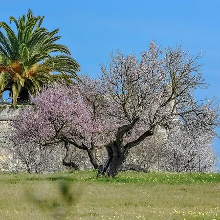 Penthouse Dali - Club *