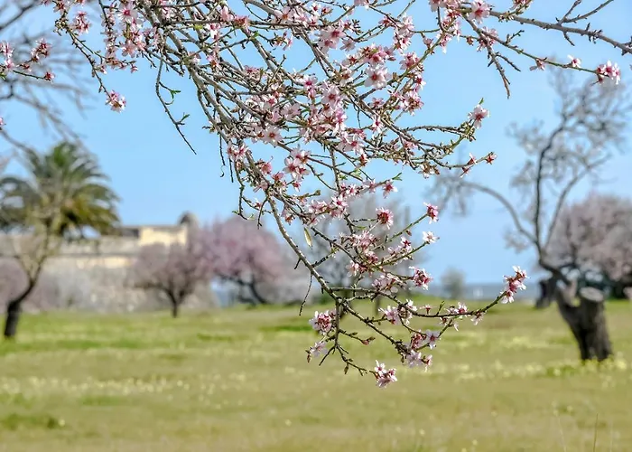 Penthouse Dali - Club アパート *