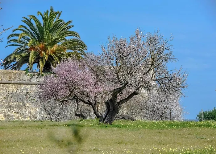 Penthouse Dali - Club *